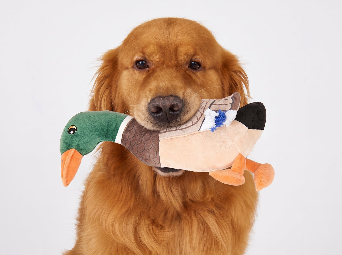 PELUCHE PATO