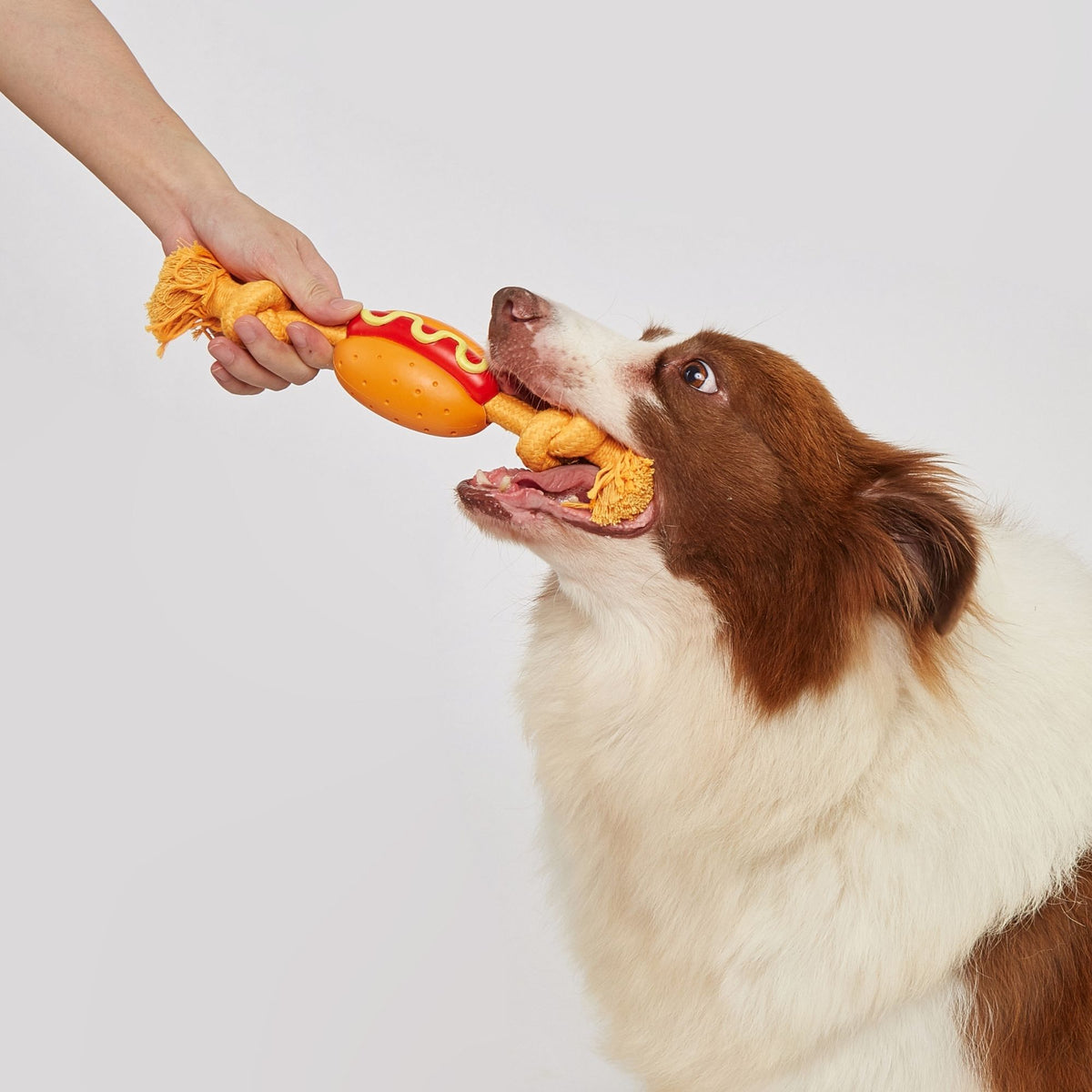 JUGUETE FUERZA DE HOTDOG