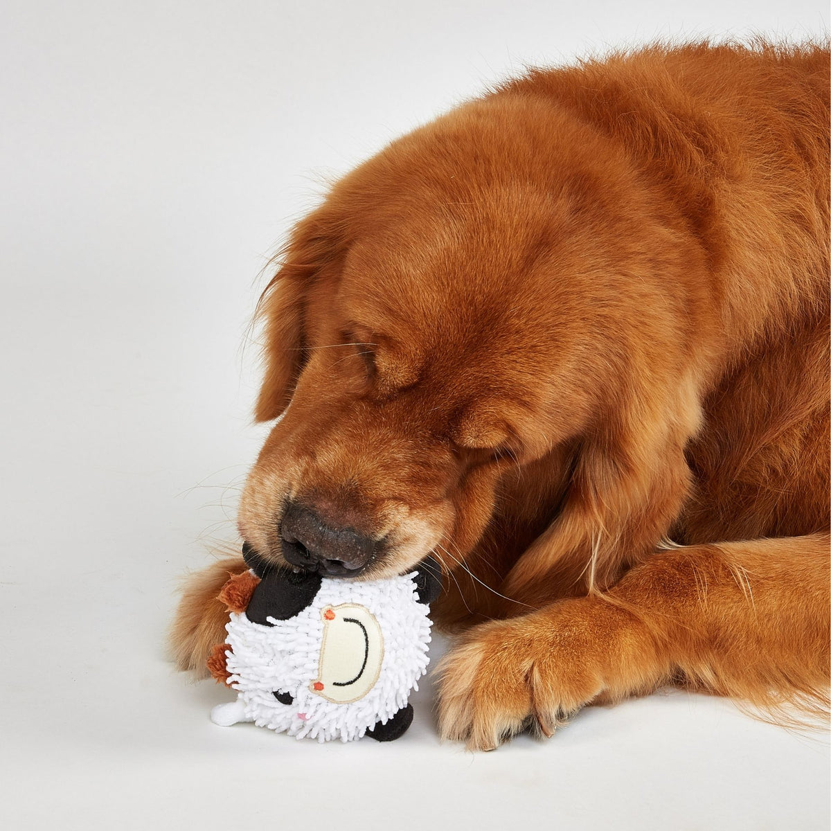PELOTA DE ANIMALES CERDO Y VACA
