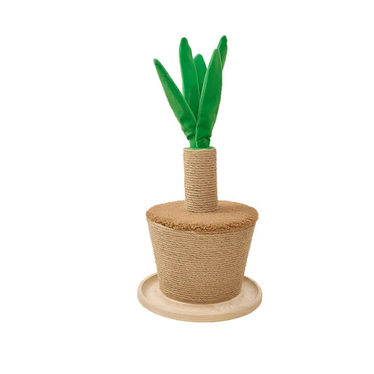 RASCADOR PLANTA EN MACETA