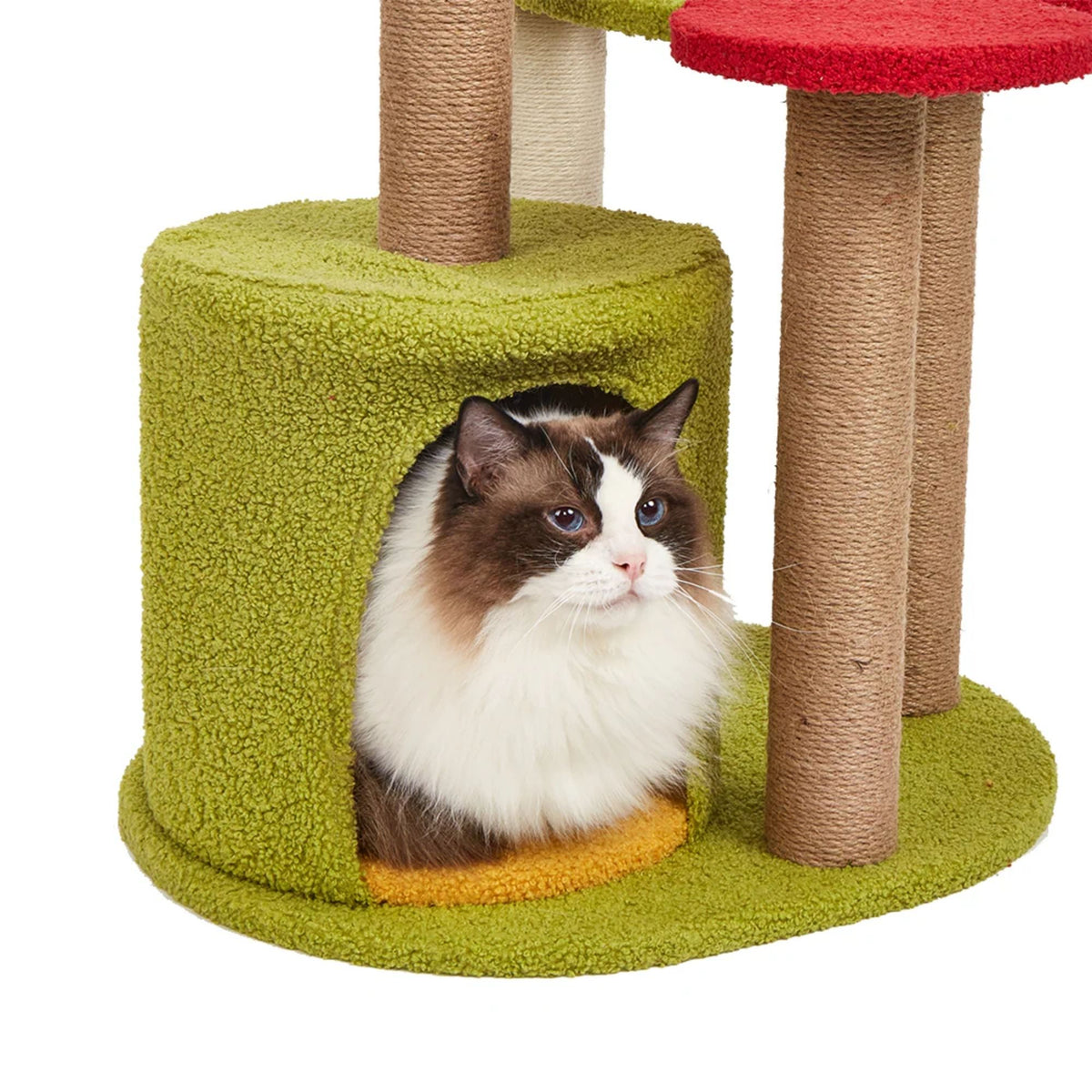 RASCADOR TORRE FRUTAL