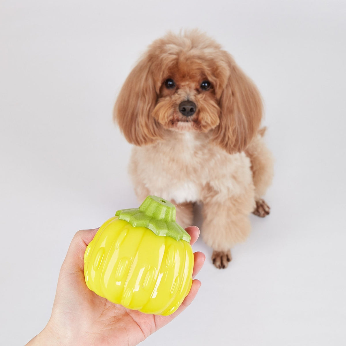 PELOTA SUPER RESISTENTE CALABAZA