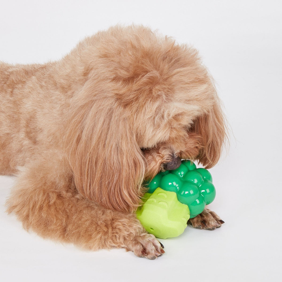 PELOTA SUPER RESISTENTE BROCOLI