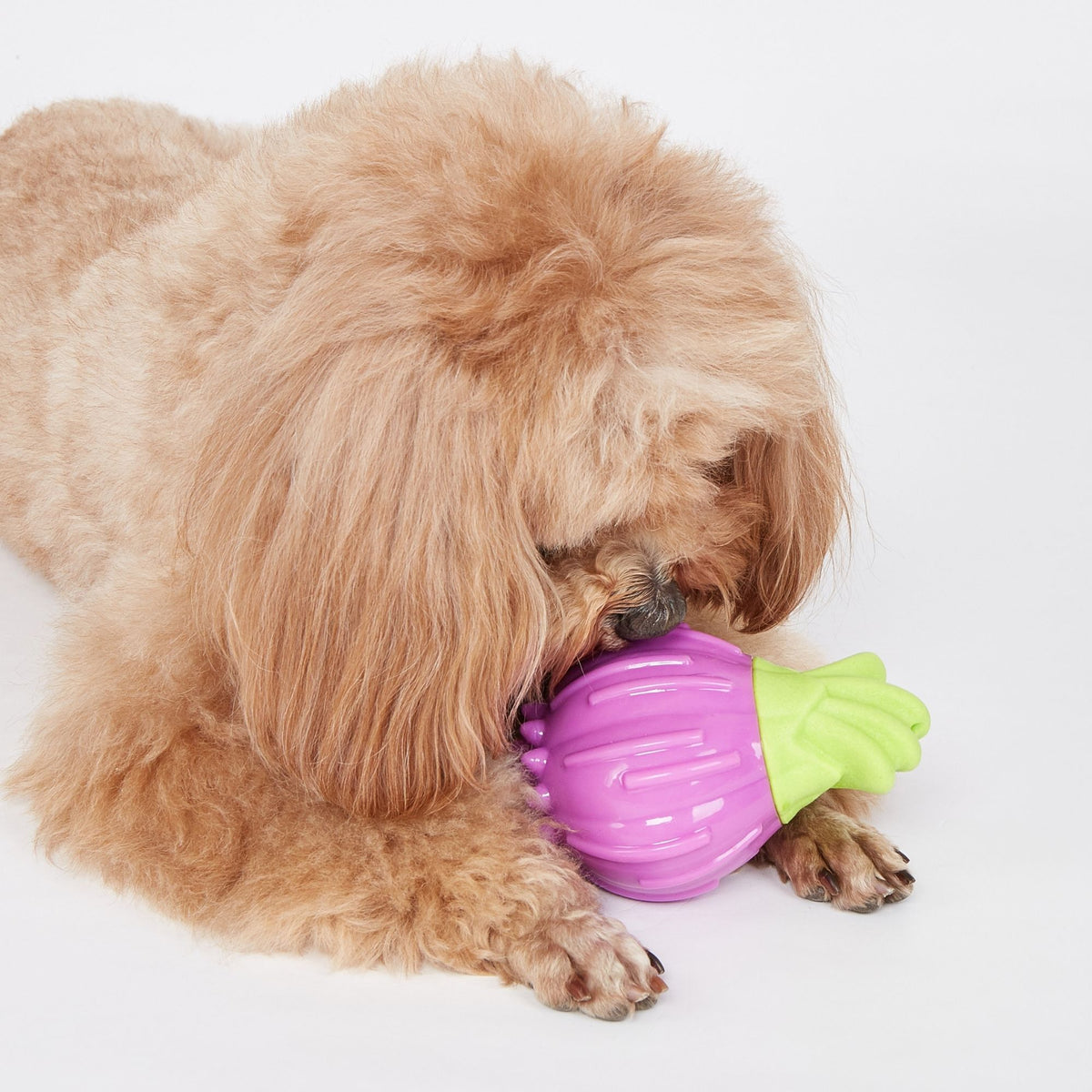 PELOTA SUPER RESISTENTE CEBOLLA