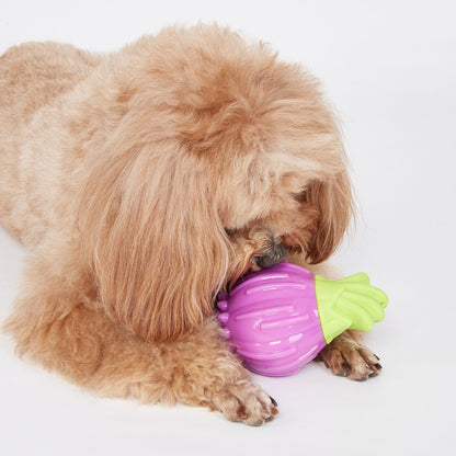 PELOTA SUPER RESISTENTE CEBOLLA