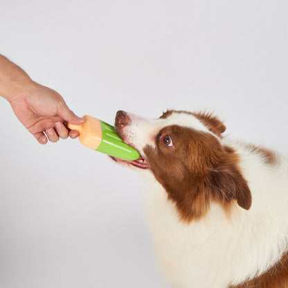 PALETA REFRESCANTE